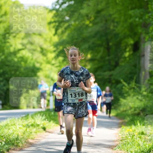 09.05.2026 - Störlauf LAZAROV Photography http://msf.ph/oto/9721811 09.05.2026 14:43:16 Laufen 1318, 1403 meine-sportfotos.de