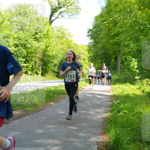 09.05.2026 - Störlauf LAZAROV Photography http://msf.ph/oto/9721821 09.05.2026 14:43:24 Laufen 1403, 1152 meine-sportfotos.de