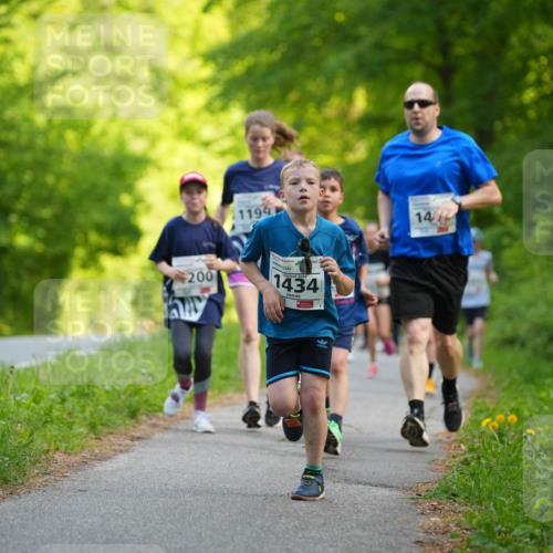 09.05.2026 - Störlauf LAZAROV Photography http://msf.ph/oto/9721873 09.05.2026 14:44:06 Laufen 1199, 200, 2012026, 1434, 14 meine-sportfotos.de