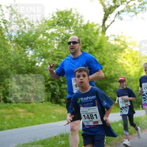 09.05.2026 - Störlauf LAZAROV Photography http://msf.ph/oto/9721880 09.05.2026 14:44:10 Laufen 2026, 1481, 1200, 1199, 4385 meine-sportfotos.de
