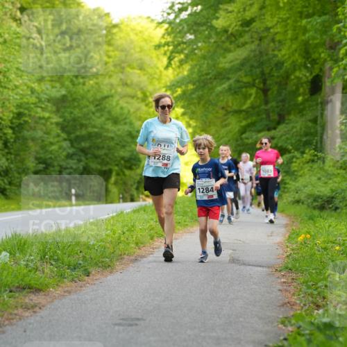 09.05.2026 - Störlauf LAZAROV Photography http://msf.ph/oto/9721928 09.05.2026 14:44:43 Laufen 288, 1284, 1083 meine-sportfotos.de