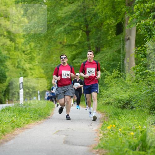 09.05.2026 - Störlauf LAZAROV Photography http://msf.ph/oto/9722182 09.05.2026 14:47:58 Laufen 1246, 173, 1250 meine-sportfotos.de