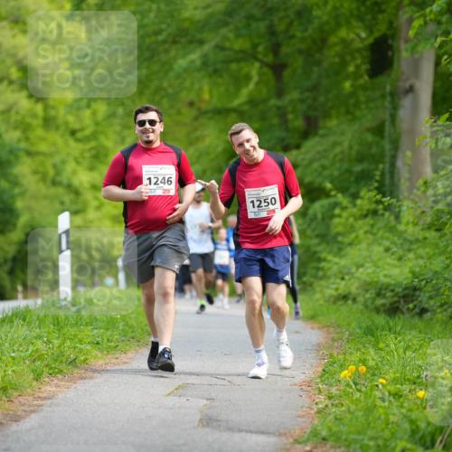 09.05.2026 - Störlauf LAZAROV Photography http://msf.ph/oto/9722184 09.05.2026 14:48:00 Laufen 1246, 1250 meine-sportfotos.de