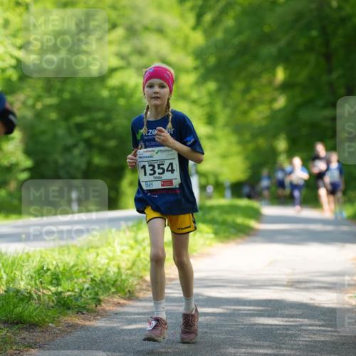 09.05.2026 - Störlauf LAZAROV Photography http://msf.ph/oto/9722301 09.05.2026 14:49:30 Laufen 2026, 1354 meine-sportfotos.de