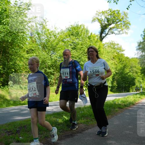09.05.2026 - Störlauf LAZAROV Photography http://msf.ph/oto/9722325 09.05.2026 14:49:59 Laufen 1512, 1511, 1546 meine-sportfotos.de