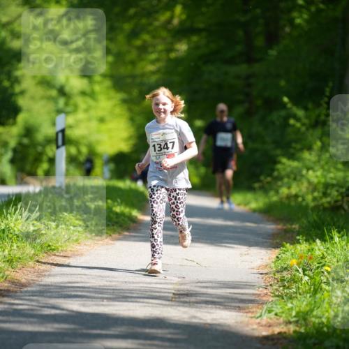 09.05.2026 - Störlauf LAZAROV Photography http://msf.ph/oto/9722345 09.05.2026 14:50:23 Laufen 1347 meine-sportfotos.de