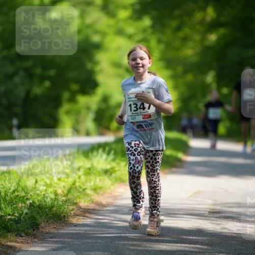 09.05.2026 - Störlauf LAZAROV Photography http://msf.ph/oto/9722351 09.05.2026 14:50:25 Laufen 1347 meine-sportfotos.de