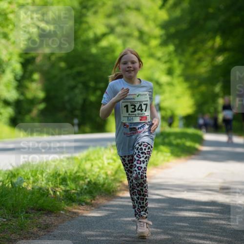 09.05.2026 - Störlauf LAZAROV Photography http://msf.ph/oto/9722353 09.05.2026 14:50:26 Laufen 2026, 1347 meine-sportfotos.de