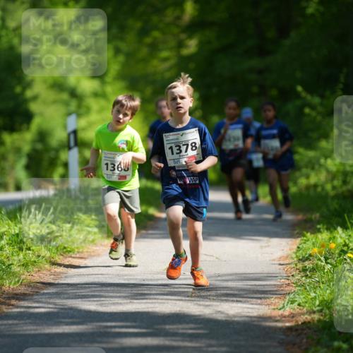 09.05.2026 - Störlauf LAZAROV Photography http://msf.ph/oto/9722388 09.05.2026 14:51:32 Laufen 136, 2026, 1378 meine-sportfotos.de