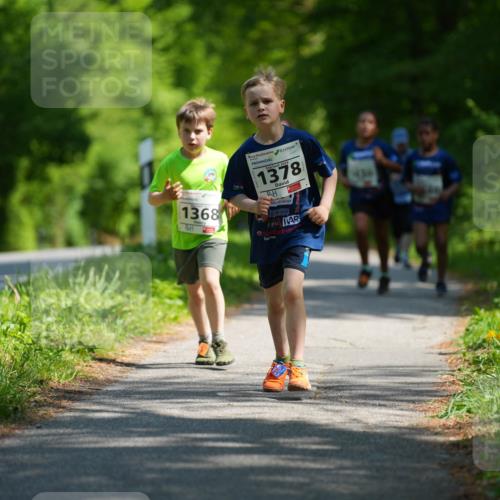 09.05.2026 - Störlauf LAZAROV Photography http://msf.ph/oto/9722389 09.05.2026 14:51:33 Laufen 1368, 1378, 1318 meine-sportfotos.de