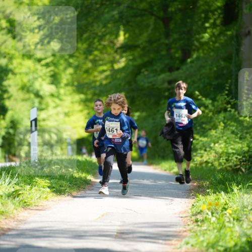 09.05.2026 - Störlauf LAZAROV Photography http://msf.ph/oto/9722410 09.05.2026 14:52:24 Laufen 1461, 1462 meine-sportfotos.de
