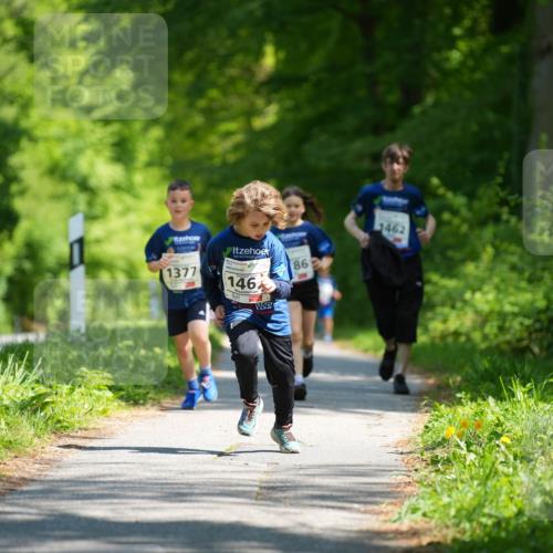 09.05.2026 - Störlauf LAZAROV Photography http://msf.ph/oto/9722411 09.05.2026 14:52:25 Laufen 1377, 146, 86, 1462 meine-sportfotos.de