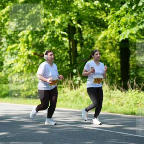 09.05.2026 - Störlauf LAZAROV Photography http://msf.ph/oto/9722523 09.05.2026 15:06:05 Laufen 2262 meine-sportfotos.de