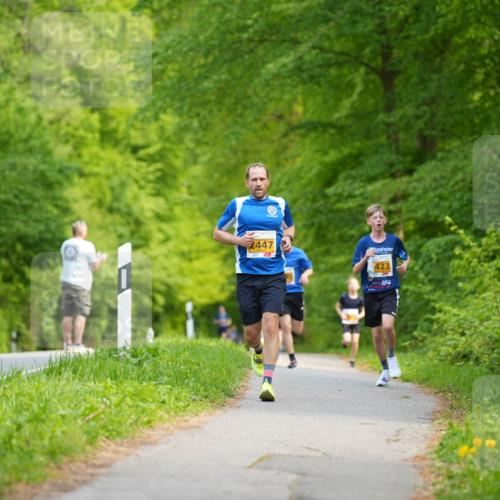 09.05.2026 - Störlauf LAZAROV Photography http://msf.ph/oto/9722638 09.05.2026 15:18:06 Laufen 2447, 423 meine-sportfotos.de