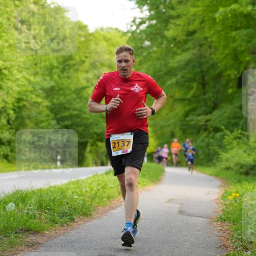 09.05.2026 - Störlauf LAZAROV Photography http://msf.ph/oto/9722724 09.05.2026 15:19:48 Laufen 2137 meine-sportfotos.de
