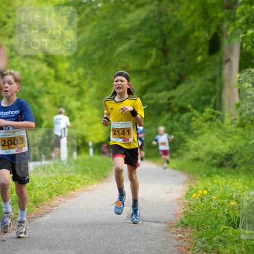 09.05.2026 - Störlauf LAZAROV Photography http://msf.ph/oto/9722752 09.05.2026 15:20:18 Laufen 9, 2003, 2141 meine-sportfotos.de