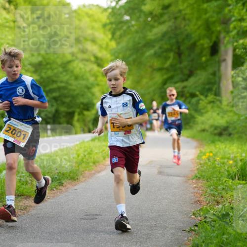 09.05.2026 - Störlauf LAZAROV Photography http://msf.ph/oto/9722760 09.05.2026 15:20:27 Laufen 22451, 2001, 19 meine-sportfotos.de