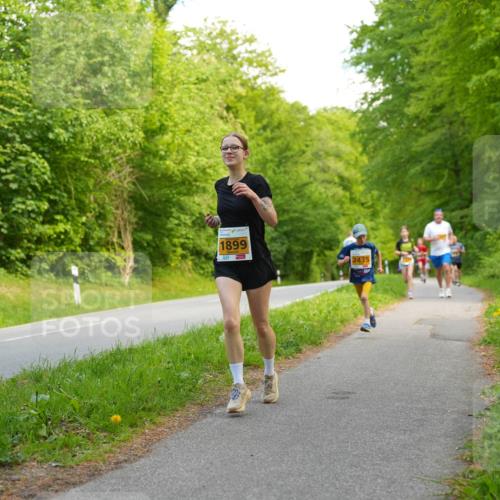 09.05.2026 - Störlauf LAZAROV Photography http://msf.ph/oto/9722765 09.05.2026 15:20:37 Laufen 1899, 1, 2435 meine-sportfotos.de