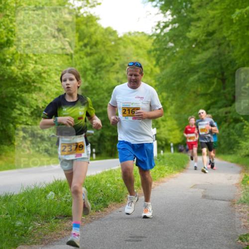 09.05.2026 - Störlauf LAZAROV Photography http://msf.ph/oto/9722771 09.05.2026 15:20:42 Laufen 216, 2379 meine-sportfotos.de