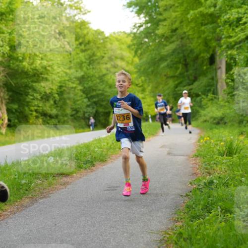 09.05.2026 - Störlauf LAZAROV Photography http://msf.ph/oto/9722886 09.05.2026 15:22:49 Laufen 243, 2236 meine-sportfotos.de