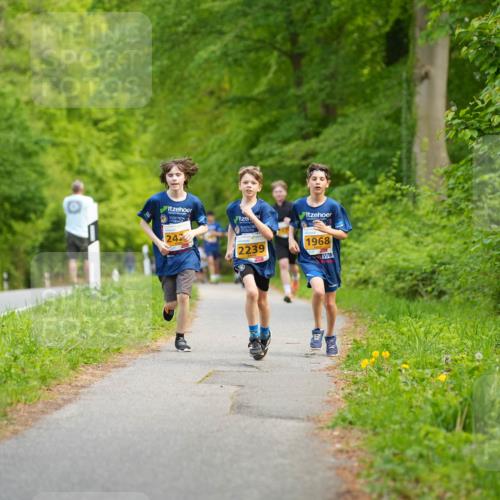 09.05.2026 - Störlauf LAZAROV Photography http://msf.ph/oto/9722894 09.05.2026 15:22:57 Laufen 242, 2239, 1968 meine-sportfotos.de