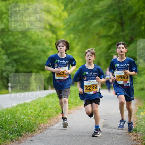 09.05.2026 - Störlauf LAZAROV Photography http://msf.ph/oto/9722897 09.05.2026 15:22:58 Laufen 242, 2239, 1968 meine-sportfotos.de