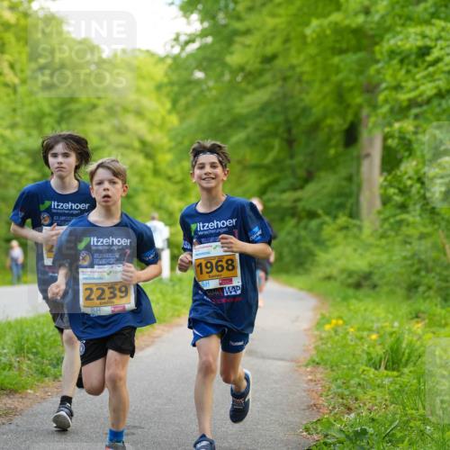 09.05.2026 - Störlauf LAZAROV Photography http://msf.ph/oto/9722899 09.05.2026 15:23:00 Laufen 2239, 2026, 1968 meine-sportfotos.de
