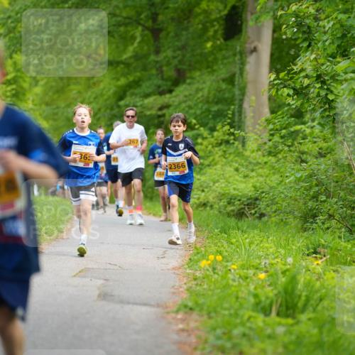 09.05.2026 - Störlauf LAZAROV Photography http://msf.ph/oto/9722918 09.05.2026 15:23:23 Laufen 2220, 36, 267, 2366 meine-sportfotos.de