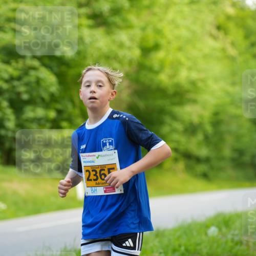 09.05.2026 - Störlauf LAZAROV Photography http://msf.ph/oto/9722925 09.05.2026 15:23:28 Laufen 2026, 236, 23 meine-sportfotos.de