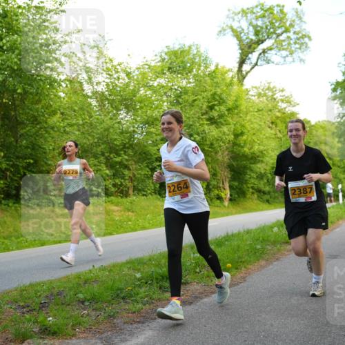09.05.2026 - Störlauf LAZAROV Photography http://msf.ph/oto/9723185 09.05.2026 15:27:00 Laufen 2279, 2264, 2387 meine-sportfotos.de