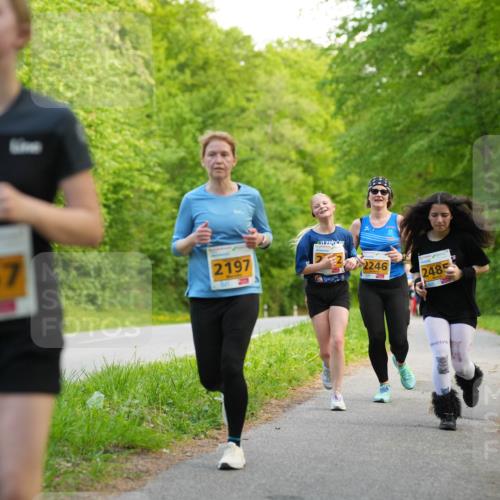 09.05.2026 - Störlauf LAZAROV Photography http://msf.ph/oto/9723228 09.05.2026 15:27:44 Laufen 2067, 2197, 2246, 2485 meine-sportfotos.de