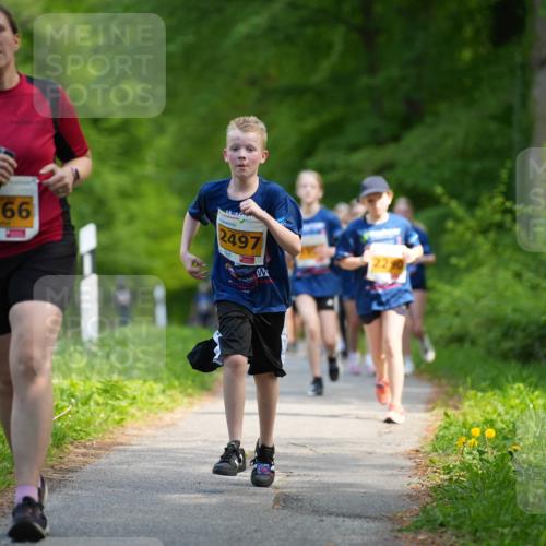09.05.2026 - Störlauf LAZAROV Photography http://msf.ph/oto/9723434 09.05.2026 15:30:46 Laufen 2166, 2497 meine-sportfotos.de