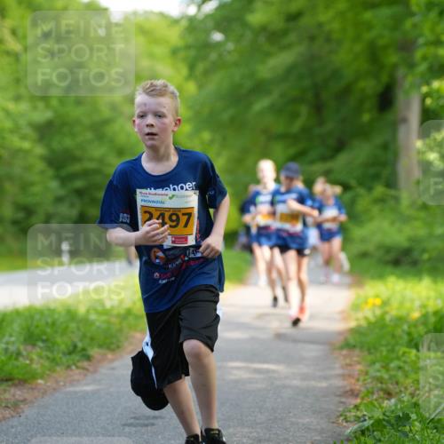 09.05.2026 - Störlauf LAZAROV Photography http://msf.ph/oto/9723437 09.05.2026 15:30:48 Laufen 06, 2026, 2497 meine-sportfotos.de