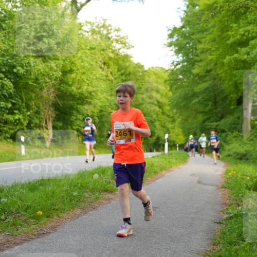 09.05.2026 - Störlauf LAZAROV Photography http://msf.ph/oto/9723475 09.05.2026 15:31:13 Laufen 246 meine-sportfotos.de