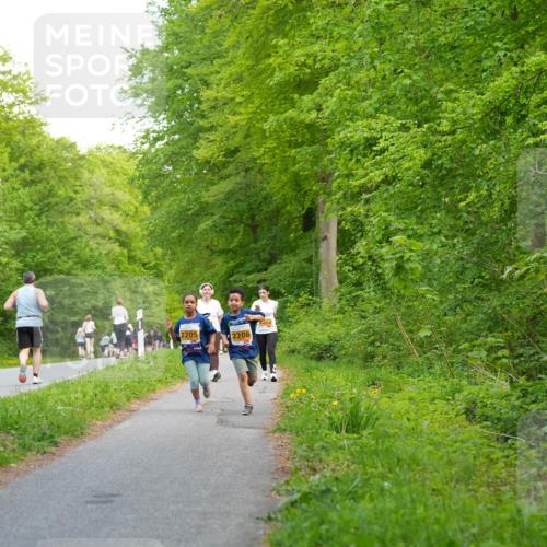 09.05.2026 - Störlauf LAZAROV Photography http://msf.ph/oto/9723625 09.05.2026 15:36:07 Laufen 2205, 2208, 2262 meine-sportfotos.de