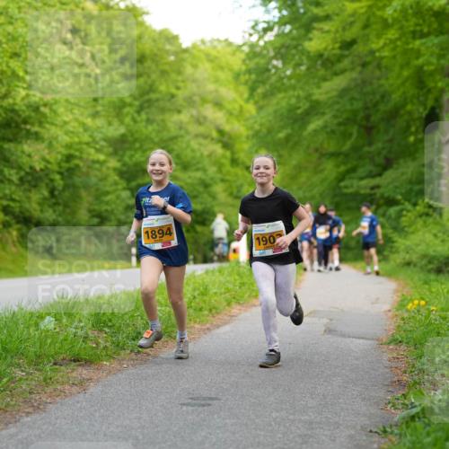 09.05.2026 - Störlauf LAZAROV Photography http://msf.ph/oto/9723690 09.05.2026 15:37:42 Laufen 1894, 1902 meine-sportfotos.de