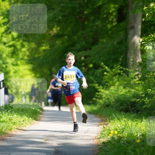 09.05.2026 - Störlauf LAZAROV Photography http://msf.ph/oto/9725026 09.05.2026 15:42:01 Laufen 2431 meine-sportfotos.de