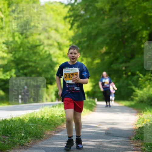 09.05.2026 - Störlauf LAZAROV Photography http://msf.ph/oto/9725038 09.05.2026 15:42:05 Laufen 243 meine-sportfotos.de