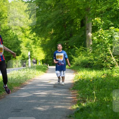 09.05.2026 - Störlauf LAZAROV Photography http://msf.ph/oto/9725086 09.05.2026 15:42:24 Laufen 14, 2109, 2429 meine-sportfotos.de