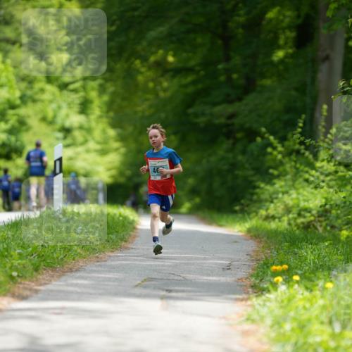 09.05.2026 - Störlauf LAZAROV Photography http://msf.ph/oto/9728474 09.05.2026 13:34:48 Laufen 46 meine-sportfotos.de