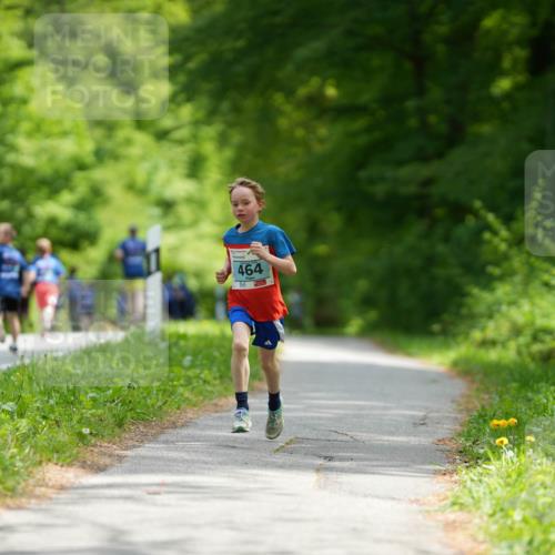 09.05.2026 - Störlauf LAZAROV Photography http://msf.ph/oto/9728475 09.05.2026 13:34:50 Laufen 464 meine-sportfotos.de