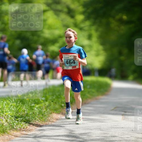 09.05.2026 - Störlauf LAZAROV Photography http://msf.ph/oto/9728479 09.05.2026 13:34:51 Laufen 464 meine-sportfotos.de