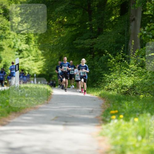 09.05.2026 - Störlauf LAZAROV Photography http://msf.ph/oto/9728495 09.05.2026 13:35:49 Laufen 176, 353 meine-sportfotos.de