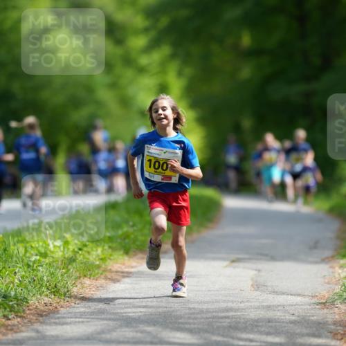 09.05.2026 - Störlauf LAZAROV Photography http://msf.ph/oto/9728694 09.05.2026 14:05:26 Laufen 100 meine-sportfotos.de