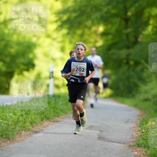 09.05.2026 - Störlauf LAZAROV Photography http://msf.ph/oto/9728981 09.05.2026 14:33:46 Laufen 202 meine-sportfotos.de