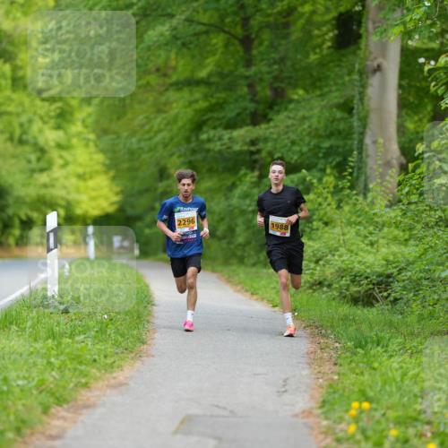 09.05.2026 - Störlauf LAZAROV Photography http://msf.ph/oto/9729209 09.05.2026 15:15:28 Laufen 2296, 1988 meine-sportfotos.de