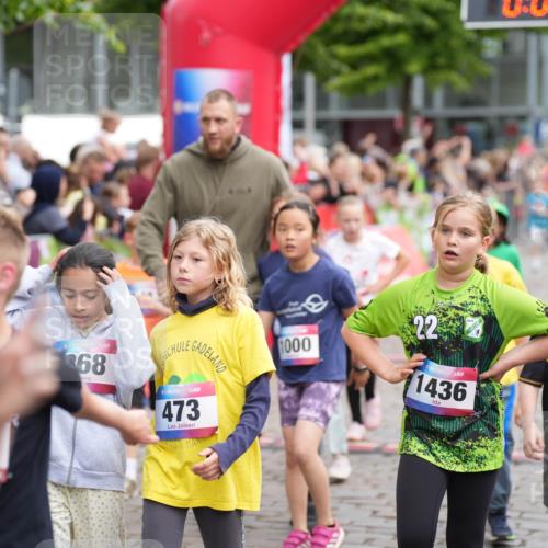 12.06.2026 - Holstenköstenlauf LAZAROV Photography http://msf.ph/oto/9742187 12.06.2026 16:21:54 Laufen 30, 68, 473, 1000, 22, 1436, 382, 5, 131, 165, 206, 209, 289, 296, 301, 307, 688, 694, 702, 706, 850, 856, 1102, 1111, 1199, 1313, 1320, 1525, 1540, 1560 meine-sportfotos.de