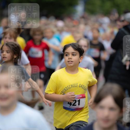 12.06.2026 - Holstenköstenlauf Michael Strokosch http://msf.ph/oto/9748716 12.06.2026 16:00:42 Laufen 36, 454, 421 meine-sportfotos.de