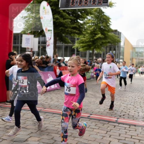 12.06.2026 - Holstenköstenlauf Michael Strokosch http://msf.ph/oto/9750365 12.06.2026 16:08:22 Laufen 73, 134312, 75, 134 meine-sportfotos.de