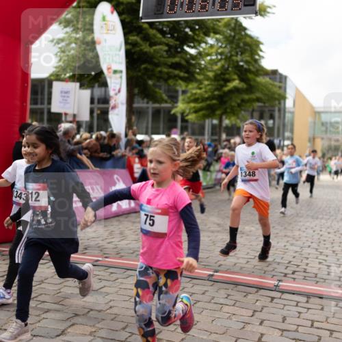 12.06.2026 - Holstenköstenlauf Michael Strokosch http://msf.ph/oto/9750366 12.06.2026 16:08:22 Laufen 73, 134312, 214, 75, 1348 meine-sportfotos.de